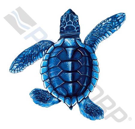 5" BLUE BABY TURTLE B