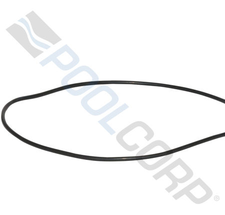 CLEAR INNER LID LARGE ORING