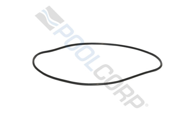 CLEAR INNER LID LARGE ORING