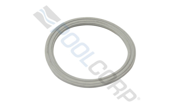 CPVC UNION T-GASKET