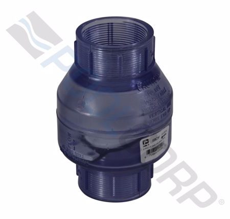 2" SWING CK VALVE SxS CLR