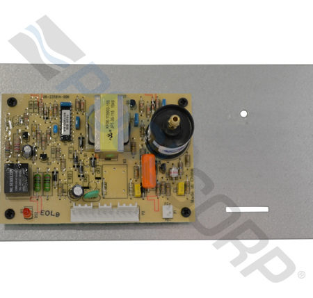 CONTROL MODULE W/ IGNITOR