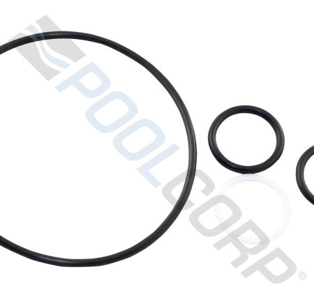 PSV VALVE KEY COVER ORING KIT