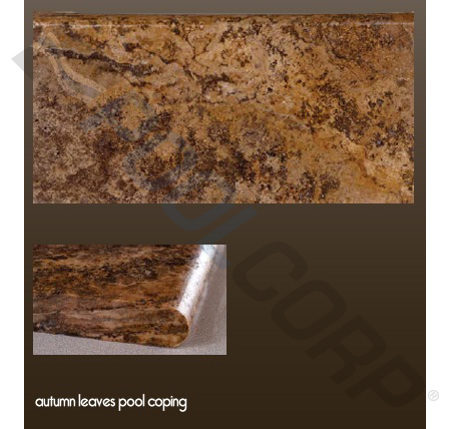 AUTUMN LEAVES TUMBLED COPING