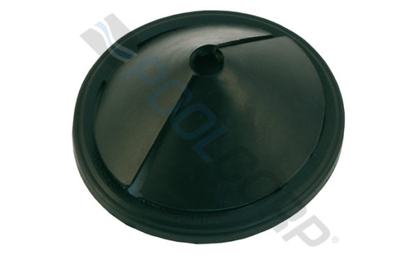DEBRIS VALVE