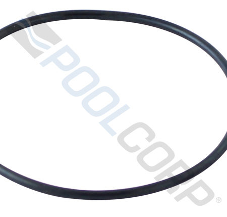 BACK-UP VALVE ORING KIT