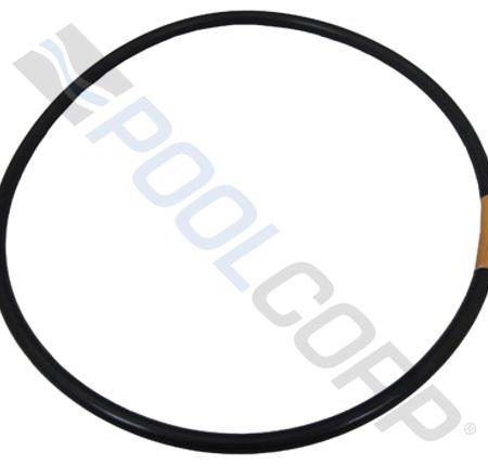 CHLORINATOR LID ORING