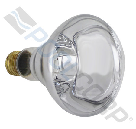 BULB 100W 12V R30 MED BASE
