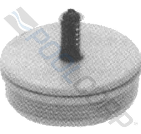 2"MPT SKIMMER CHECK VALVE