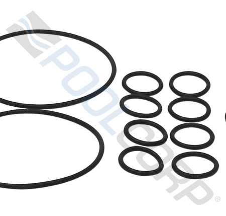 2-IN-1 BACKWASH ORING KIT